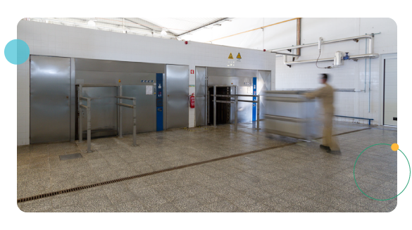 planta con autoclave