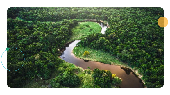 naturaleza